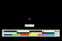 藏品(石川石)的圖片